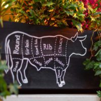 steak meat parts of a bull graphic
